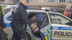 Z vraždy tříleté dívky obvinili policisté matku. Zveřejnili další podrobnosti k případu
