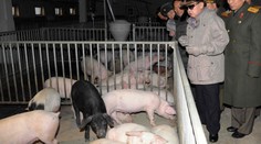 OBRAZEM: Velký bratr Kim tě vidí! Diktátor má oči všude:-)