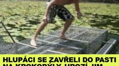 Hlupáci se zavřeli do pasti na krokodýly. Hrozí jim i vězení