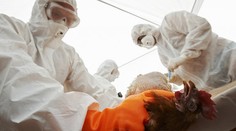Pozor na epidemie, varuje WHO!