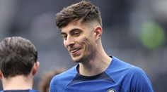 Vždy jsem měl speciální vztah k oslům, vypráví hvězda Chelsea o své zálibě