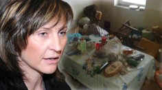 Chomutovská ghetta krotí "pitbull s něžnou tváří". DEN primátorky