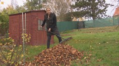 Češi řeší, kam s tunami spadaného listí. Hasiči varují před jeho pálením
