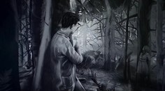 Do kin vstoupili Králové Šumavy. Film vypráví příběh tajemného hrdiny