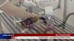 VIDEO: Dětská kola nesplňují evropskou normu