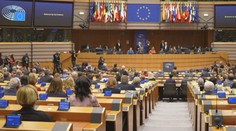 Vrecionová povede v EP zemědělský výbor, uspěl i Niedermayer