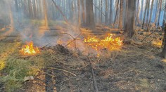 Hasiči měli kvůli horku dvakrát víc výjezdů. Hořely lesy, domy i auta