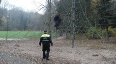 Na prolézačce se skrýval před obřím hadem, skončil v blázinci
