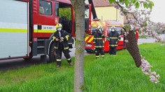 Včely mají ideální podmínky k rojení. Kdy kvůli nim zavolat hasiče?