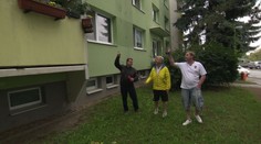 Nadávky a výhrůžky. Do sporu kvůli psovi se muselo vložit státní zastupitelství