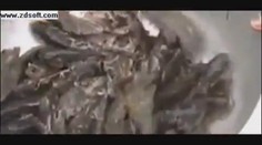 Vesničani se nestačili divit: Z nebe jim NAPRŠELY RYBY! VIDEO