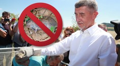 Česko vyhlásilo válku hrabošům: Štáb zasedl, zemřou i jiná zvířata
