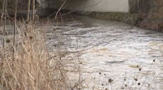 Hladiny řek v Česku stouply. Výstraha platí hlavně na severu