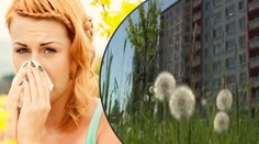 Lidé v Praze se dusí! Alergici mají velký problém kvůli sekání