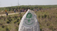 Česko hledá nejkrásnější alej, na hlasování máte poslední den