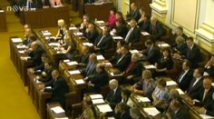 Ten chová muflony a ten nedělá nic. Čím se živí exposlanci