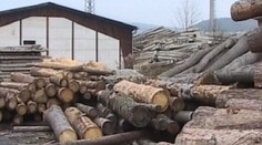 VIDEO: Na kotle na dřevo lidem přispěje stát