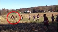 Jelení kamikaze! Atleta sestřelil během závodu divoký jelen VIDEO