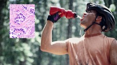 Pozor na polykarbonátové láhve! Může v nich být smrtící bisfenol, který vyvolává RAKOVINU