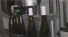 Koalice znovu projedná zavedení daně na tiché víno. Státu by přinesla miliardy