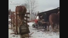 VIDEO: Neuvěřitelný ruský stroj! Štípačka na koňský pohon