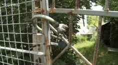 Vykrádali chatku, ujížděli policii a nabourali