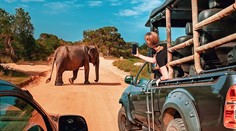Safari během dovolené na Zanzibaru: Probuďte v sobě dobrodruha!