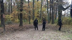 Obce na jižní Moravě varují obyvatele. V okolí se má toulat velká kočkovitá šelma