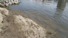Hladina Labe klesá, v Děčíně se objevil hladový kámen