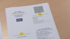 Černý trh s falešnými covid pasy vzkvétá, k sehnání jsou za pár tisíc