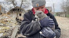 Muž si myslel, že s rodinou prchá do bezpečí. Ruský útok přežili jen on a kočka