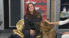 PSÍ SPECIÁL: Jaký je život policejních psů? Psovodi nám to prozradili