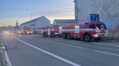 Hasiči do noci bojovali s požárem haly, ještěrka musela do kontejneru