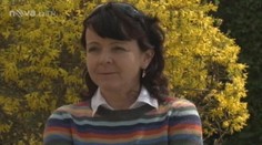 Čechy vyhnala z tropického ráje leukémie jejich dcery
