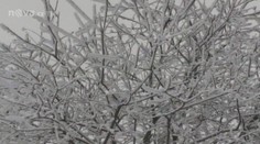 Žena se nevrátila z procházky, noc prožila zraněná v lese v -10 stupních