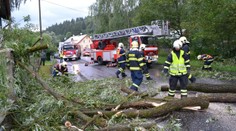 Hasiči v noci vyjeli ke stovkám zásahů! Větve padaly na silnice