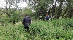 Pohřešovaná dívka se sama vrátila domů! Pátraly po ní desítky policistů