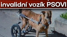 HYENY! Ukradly invalidní vozík PSOVI