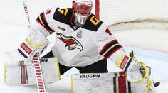 Úžasný Hrubec vychytal Omsku titul v KHL! Vítězný zápas okořenil nulou
