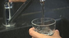 Obsah pesticidů se ve vodě zvyšuje, kontrolní úřad viní zemědělce