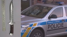 Raplovi vadilo, že psi nemají vodítko, majitelku proto bodnul