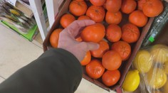 Kontrola potravin v Hluboké nad Vltavou: Většina obchodů obstála na jedničku