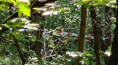 V Plzni vyšetřují vraždu. Tělo mrtvého muže našli v Borech