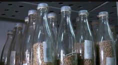 Rusové zničili genovou banku. V případě nouze měla zajistit, že lidé budou mít jídlo