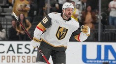 Česká exploze v NHL. Hertl mužem zápasu, góly Nečase i Pastrňáka