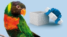 ZOO PRAHA: Začala adopce 130 zvířecích „sirotků“