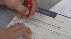 Nezaměstnanost v Česku za leden mírně vzrostla. Je ale vyšší počet volných míst