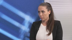U emisních povolenek nikdo nezná cenový strop, říká expertka