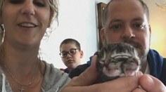 Zrůdná krása: Kotě se narodilo se čtyřma očima a druhou tváří