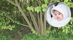 Zrůdy z Litomyšle: Roční holčičku hodili do křoví a šli do hospody!